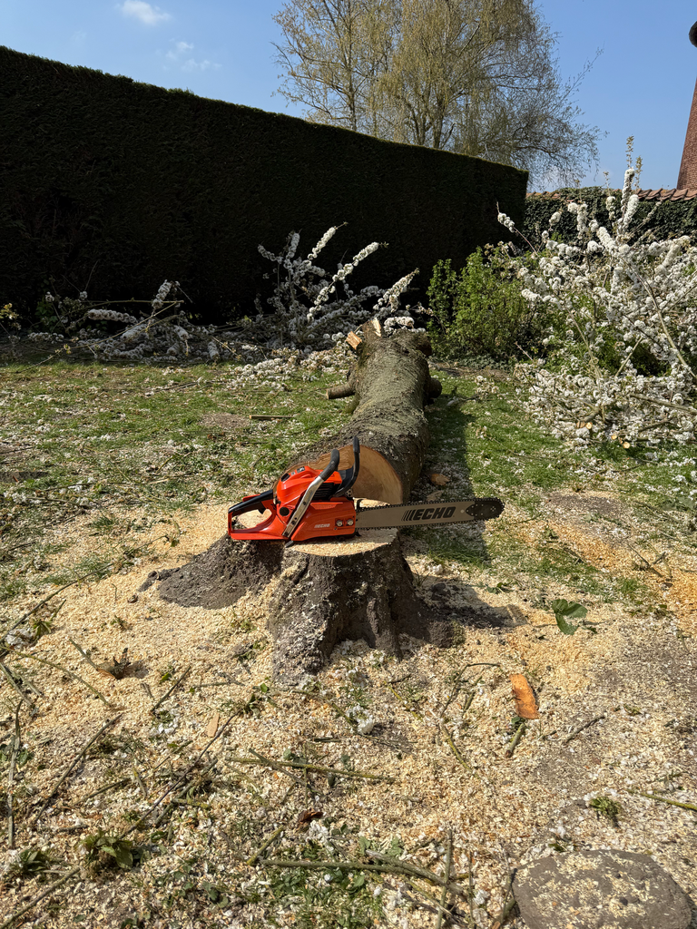 tronçonneuse 40 CM